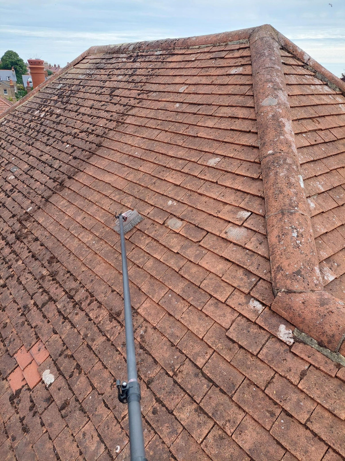 Roof Scraper Telescopic Roof Moss Scraper Moss Removal Tool